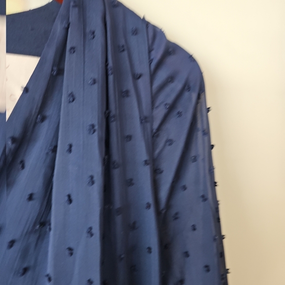 Gal Meets Glam Retro Andrea A-Line V Neck Sheer Balloon Sleeves Swiss Dot Dress - Picture 11 of 14